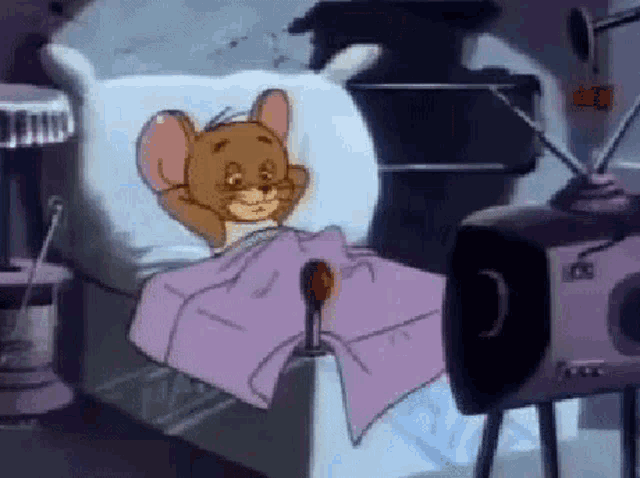 Sleeping Tom And Jerry GIF - Sleeping Tom And Jerry Tired - Discover