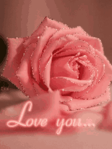 Love Rose GIF - Love Rose Sparkle GIFs