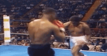 Whoop Mithme GIF - Whoop Mithme Boxing GIFs