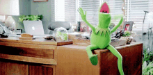 Kermie Going Crazyyy GIF - Kermit Kermitthefrog Themuppets GIFs