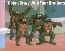 Tmnt Going Crazy With Your Brothers GIF - Tmnt Going Crazy With Your Brothers Teenage Mutant Ninja Turtles GIFs
