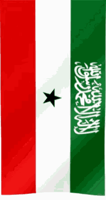 Flag Day Somaliland GIF - Flag Day Somaliland GIFs