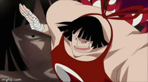 One Piece One Day Gif One Piece One Day Seven Warlords Discover Share Gifs
