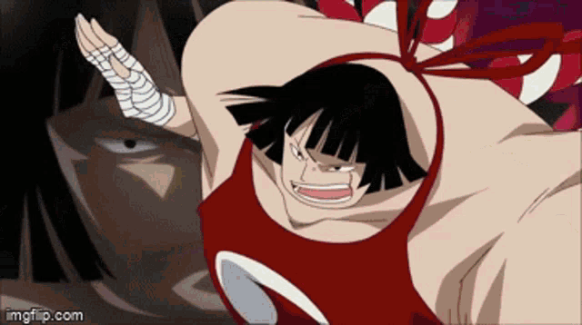 One Piece One Day Gif One Piece One Day Seven Warlords Discover Share Gifs