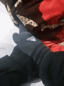 adidas wisam kabha