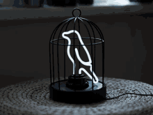 Bird Cage Lights Out GIF - Bird Cage Lights Out Neon GIFs