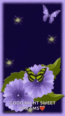 Purple Flower Butterflies GIF - Purple Flower Butterflies Purple GIFs