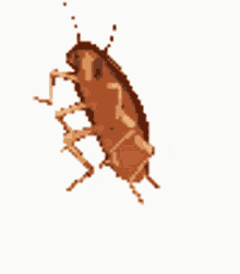 Cockroach GIF - Cockroach GIFs