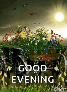 Good Evening Flowers GIF - Good Evening Flowers Sunset GIFs
