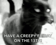 Friday The13th Cat Happy Friday The13th GIF - Friday The13th Cat Happy Friday The13th Black Cat GIFs