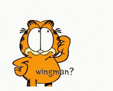 Csgo Garfield GIF - Csgo Garfield Wingman GIFs