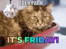 Edenpark Friday GIF - Edenpark Friday GIFs
