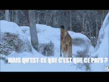Froid Asterix GIF - Froid Asterix Djamel GIFs