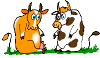 Cows Hug Sticker - Cows Hug Sweet Stickers