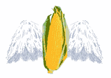 corn order