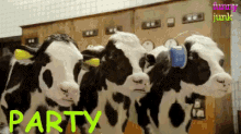 Cow GIF - Party Hard Cows GIFs