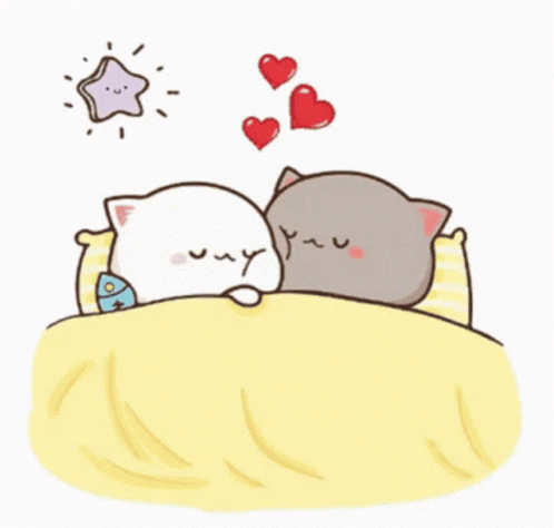 mochi-cats-sleepin-snuggle.gif