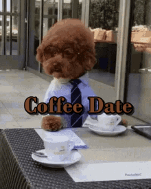 Coffee Date Cute Dogs GIF - Coffee Date Coffee Cute Dogs GIFs
