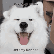 Jeremy Renner GIF - Jeremy Renner GIFs