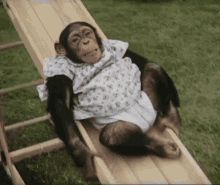 Sliding Chimp GIF - Sliding Chimp Chimpanzee GIFs