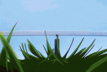 tenor.gif