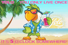 5oclock Somewhere You Only Live Once GIF - 5oclock Somewhere 5oclock You Only Live Once GIFs