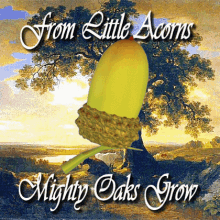 From Little Acorns Mighty Oaks Grow Oak Tree GIF - From Little Acorns Mighty Oaks Grow Acorn Oak Tree GIFs