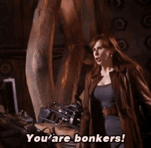 Bonkers You Are Bonkers GIF - Bonkers You Are Bonkers Donna Noble GIFs