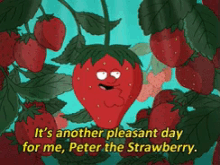 Peter Strawberry GIF - Peter Strawberry Pleasant Day GIFs