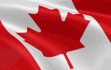Canadian Flag Canada GIF - Canadian Flag Canada Happy Canada Day GIFs