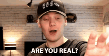 Are You Real Niall Comas GIF - Are You Real Niall Comas Pyro GIFs