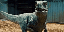 恐龙 恐怖 袭击 嘶吼 怒 GIF - Dinosaur Terrifying Attack GIFs