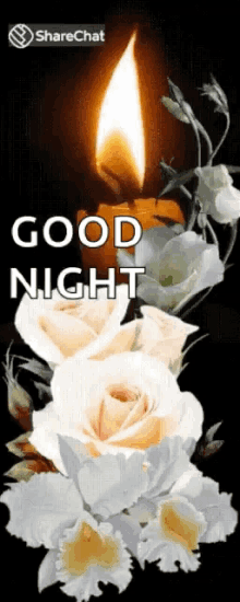 Good Night White Rose GIF - Good Night White Rose Share Chat GIFs