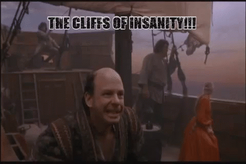 Cliffs Of Insanity Point GIF - Cliffs Of Insanity Point Princess Bride GIFs