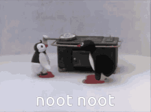 Pingu Noot Noot GIF - Pingu Noot Noot Penguin GIFs