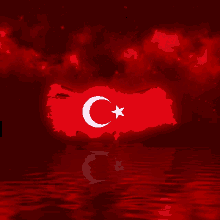 Türkiye Bayrak GIF - Türkiye Bayrak Ay Yıldız GIFs
