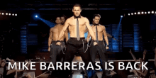 Mike Barreras GIF - Mike Barreras Tyson GIFs