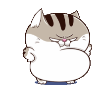Ami Fat Cat Ami Cat Sticker - Ami Fat Cat Ami Cat Fgcat Stickers