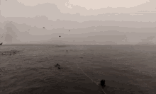 Huge Whale Outa Nowhere GIF - Whales Big Amazing GIFs