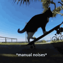 Cat Skate GIF - Cat Skate Skateboard GIFs