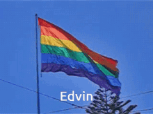 Edvin Lgbt Flag GIF - Edvin Lgbt Flag Windy GIFs