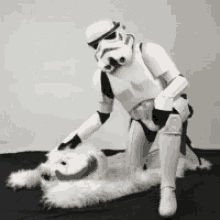 star wars star trooper pet