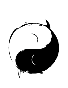 and yin