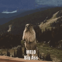 Meloba Melo Amar Melo Big Ass GIF - Meloba Melo Amar Melo Big Ass Hey GIFs