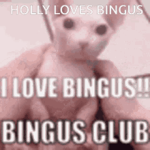 Holly Bingus GIF - Holly Bingus GIFs
