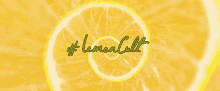Aidan Lemon GIF - Aidan Lemon Gallagher GIFs
