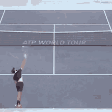 Benoit Paire Tennis GIF - Benoit Paire Tennis Tweener GIFs