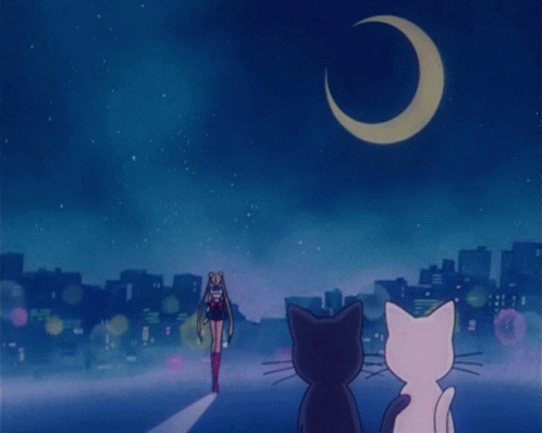 Sailor Moon Luna Gif Sailor Moon Luna Artemis Discover Share Gifs