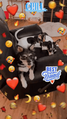 Snapchat Best Friends GIF - Snapchat Best Friends Puppies GIFs