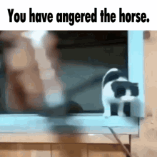 You Have Angered The Horse Horse Cat Throw GIF - You Have Angered The Horse Horse Cat Throw GIFs